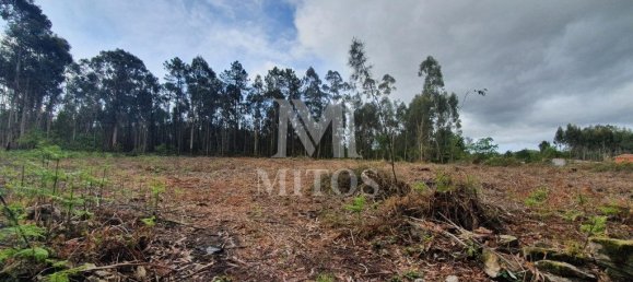 Grundstück in Viana do Castelo, Portugal 4388m², Nr. 75465 5