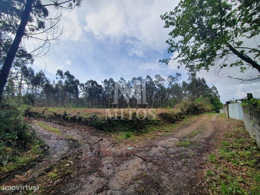 Grundstück in Viana do Castelo, Portugal 4388m², Nr. 75465