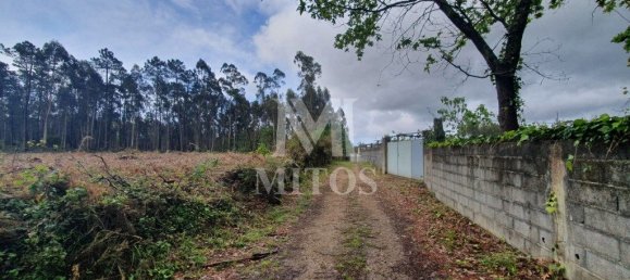 Grundstück in Viana do Castelo, Portugal 4388m², Nr. 75465 2