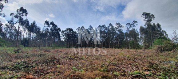 Grundstück in Viana do Castelo, Portugal 4388m², Nr. 75465 4