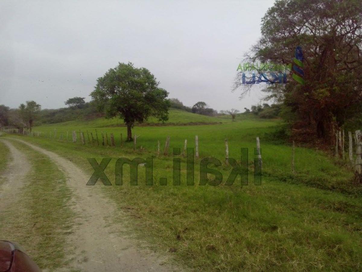 Земельный участок в Веракрус, Мексика № 204165