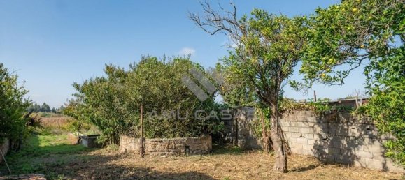 2 bedrooms House in Aveiro, Portugal No. 152418 13