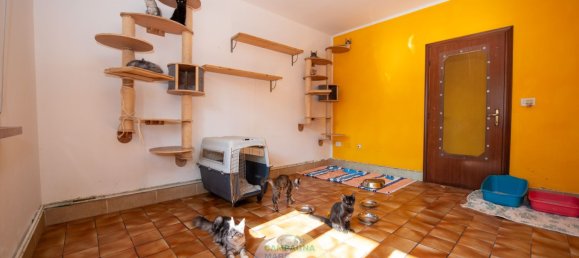 5 bedrooms House in Mesola, Italy No. 343097 4