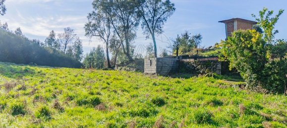1 chambre Maison à Macieira de Cambra, Portugal No. 47191 5