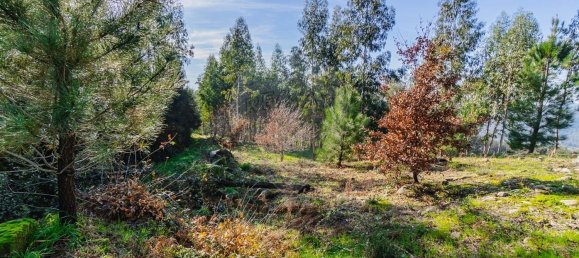 1 chambre Maison à Macieira de Cambra, Portugal No. 47191 7