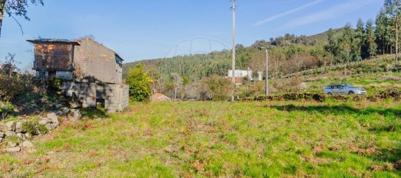 1 chambre Maison à Macieira de Cambra, Portugal No. 47191 6