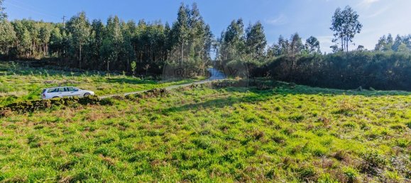 1 chambre Maison à Macieira de Cambra, Portugal No. 47191 18