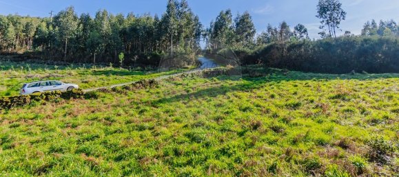 1 chambre Maison à Macieira de Cambra, Portugal No. 47191 17