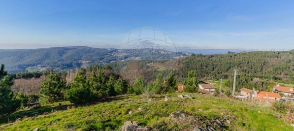 1 chambre Maison à Macieira de Cambra, Portugal No. 47191 15