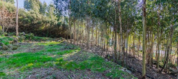 1 chambre Maison à Macieira de Cambra, Portugal No. 47191 10