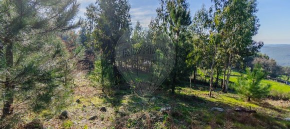 1 chambre Maison à Macieira de Cambra, Portugal No. 47191 8