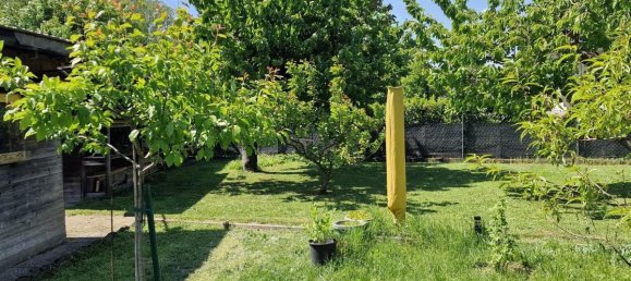 5 rooms House in Enzesfeld-Lindabrunn, Austria No. 132347 21