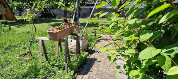 5 rooms House in Enzesfeld-Lindabrunn, Austria No. 132347 19