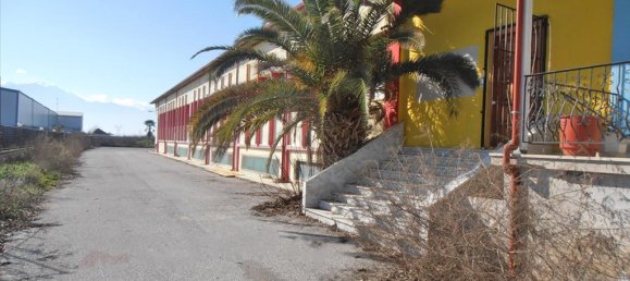 2524m² Property in Pieria, Greece No. 8040 3