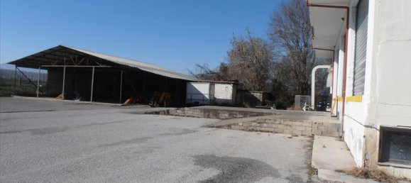 2524m² Property in Pieria, Greece No. 8040 6