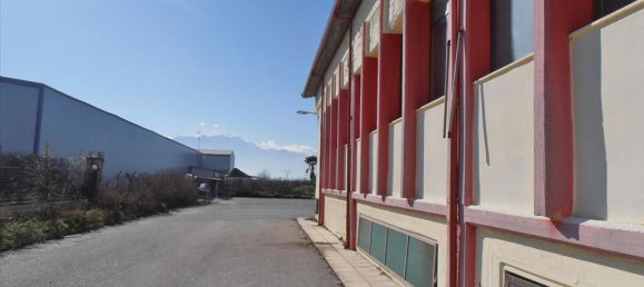 2524m² Property in Pieria, Greece No. 8040 4