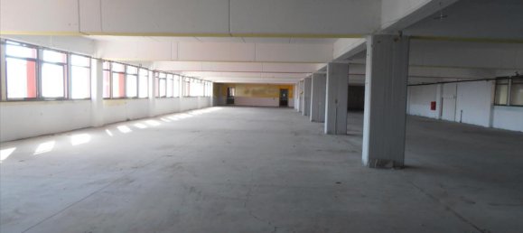 2524m² Property in Pieria, Greece No. 8040 5