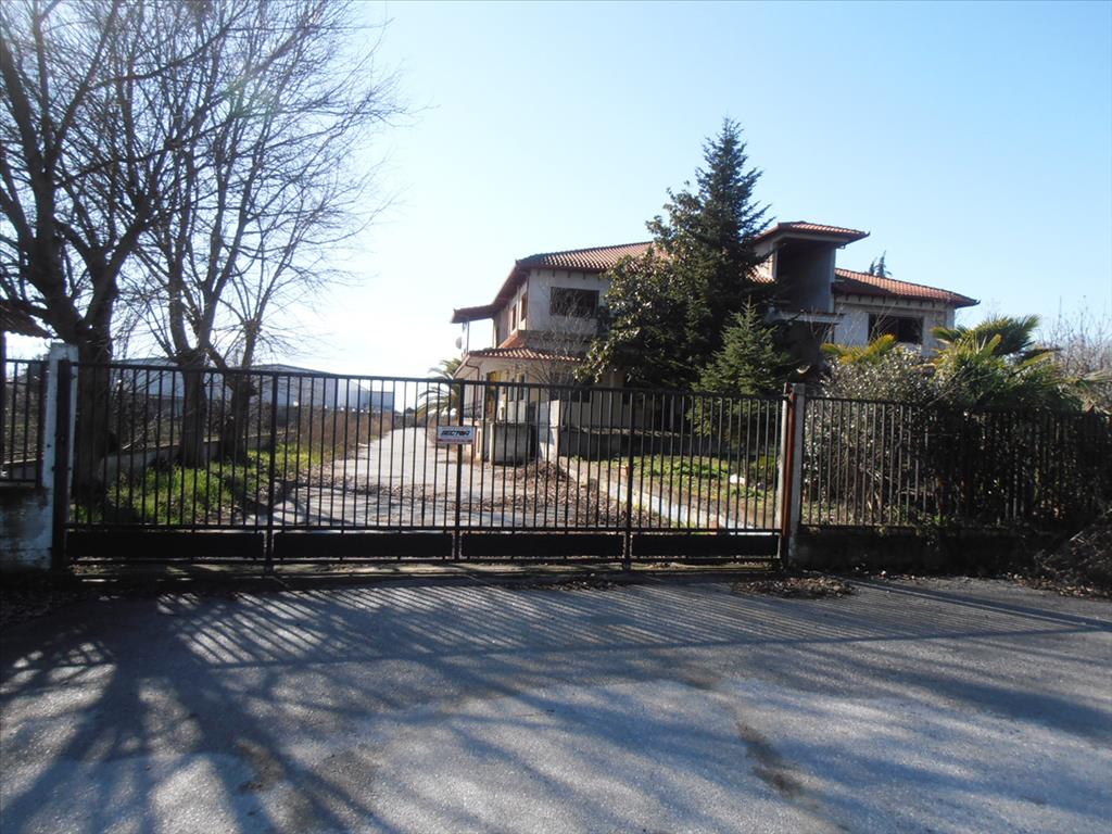 2524m² Property in Pieria, Greece No. 8040