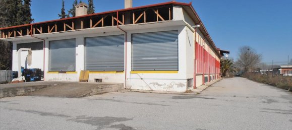 2524m² Property in Pieria, Greece No. 8040 2