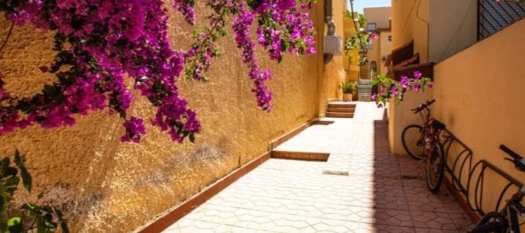 1 bedroom Apartment in Torrevieja, Spain No. 151019 22