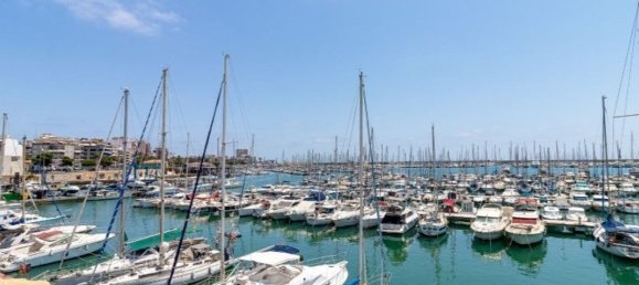 1 bedroom Apartment in Torrevieja, Spain No. 151019 31