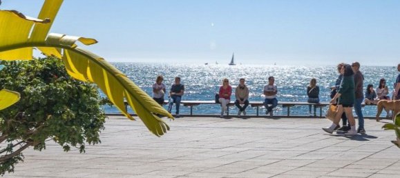 1 bedroom Apartment in Torrevieja, Spain No. 151019 33