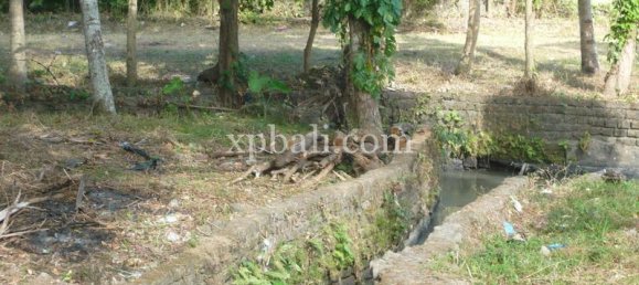 Grundstück in Canggu, Indonesia 2640m², Nr. 4483 7