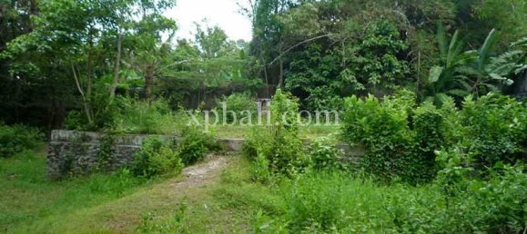 Grundstück in Canggu, Indonesia 2640m², Nr. 4483 3