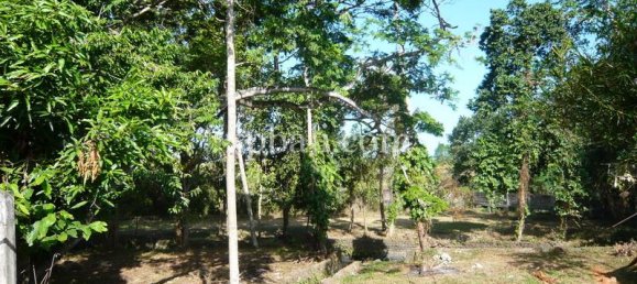 Grundstück in Canggu, Indonesia 2640m², Nr. 4483 11