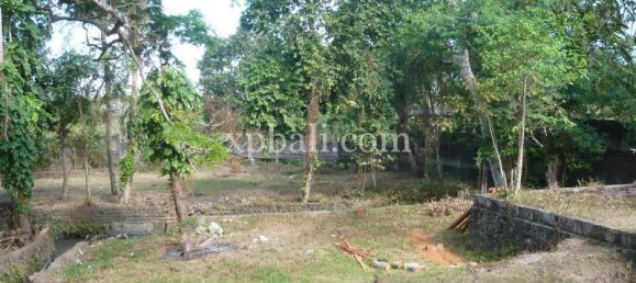 Grundstück in Canggu, Indonesia 2640m², Nr. 4483 5