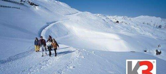 Квартира с 4 комнатами в Чаггунс, Австрия № 167741 12