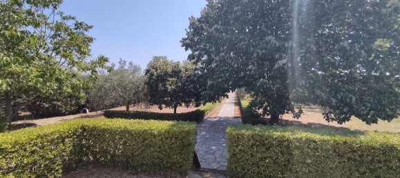 4 bedrooms Villa in Epanomi, Greece No. 3058 28