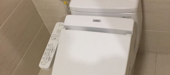 2 bedrooms Apartment in Thu Duc, Vietnam No. 16528 8