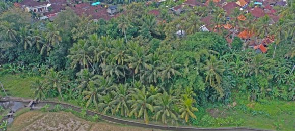  Land in Sukawati, Indonesia No. 43 2