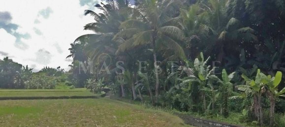  Land in Sukawati, Indonesia No. 43 8