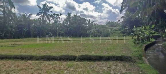  Land in Sukawati, Indonesia No. 43 10