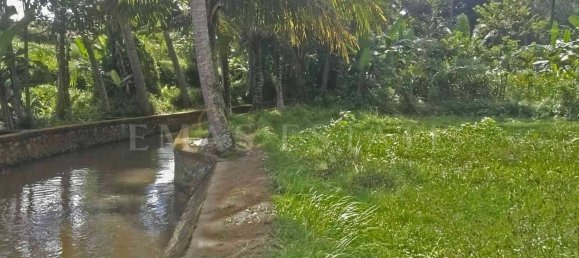  Land in Sukawati, Indonesia No. 43 11