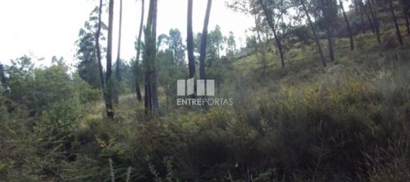5420m² Land in Marco de Canaveses, Portugal No. 57462 5