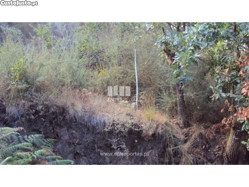 5420m² Land in Marco de Canaveses, Portugal No. 57462