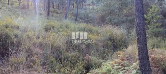 5420m² Land in Marco de Canaveses, Portugal No. 57462 4