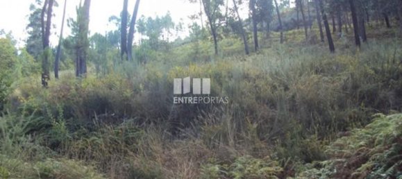 5420m² Land in Marco de Canaveses, Portugal No. 57462 2