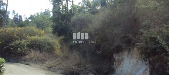 5420m² Land in Marco de Canaveses, Portugal No. 57462 3