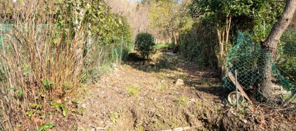 3 rooms Apartment in Lastra a Signa, Italy No. 50655 16