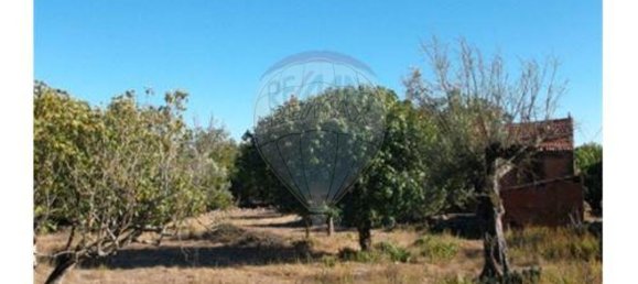 Casa de 3 dormitorios en Abiul, Portugal No. 25781 12