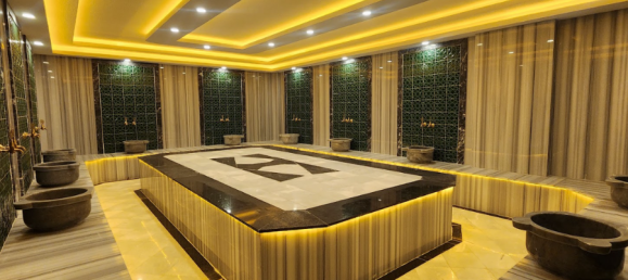 Penthouse 2+1 in Oba, Turkey No. 27030 26