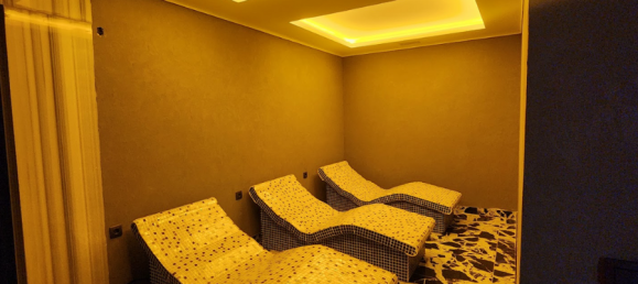 Penthouse 2+1 in Oba, Turkey No. 27030 28