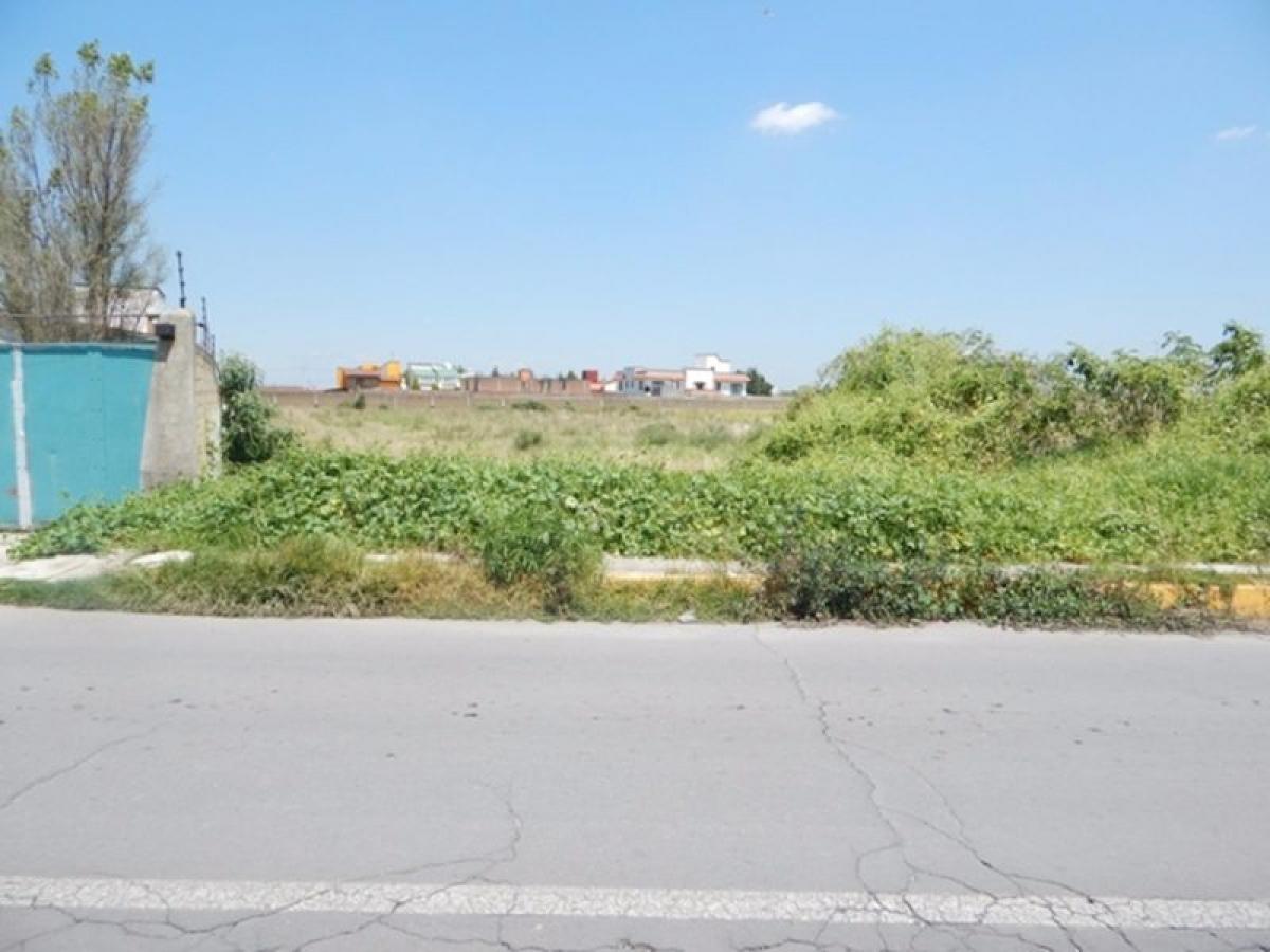  Land in Mexico No. 205716