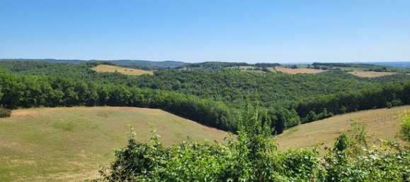 Casa de 4 dormitorios en Castelnau-de-Montmiral, France No. 314790 12