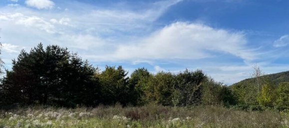 Terreno en Sachsische Schweiz-Osterzgebirge, Germany No. 193474 3