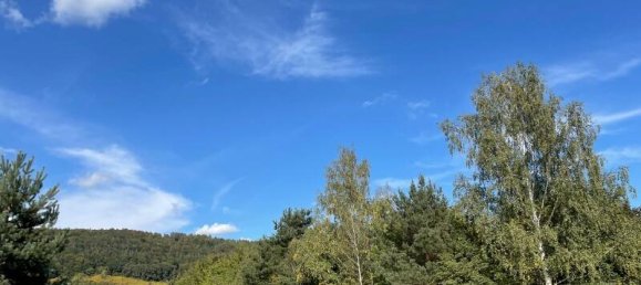 Terreno en Sachsische Schweiz-Osterzgebirge, Germany No. 193474 11